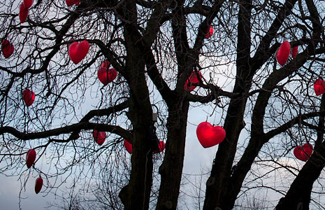 专业工具集的免费轰炸网页版